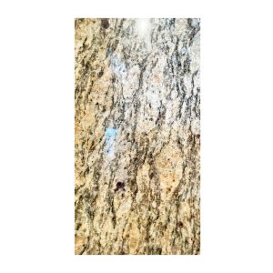 GRANITO GIALLO CECILIA 70X2MT