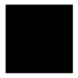 PISO 60X60 #BA608 NEGRO ESMAL.PULIDO - Imagen 1