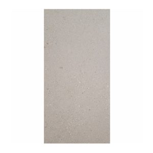 PISO 60X120 #126A38 TERRAZO NATURAL