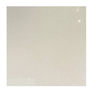 PISO 60X60 #6KP001 PULI-NOCE